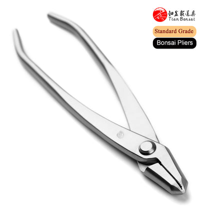 Standard Series 205 mm Bonsai Pliers 3Cr13 Alloy Steel Jin Pliers Bonsai Tools