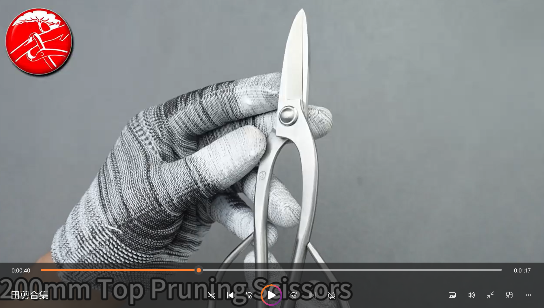 Load video: TianBonsai Standard Series Bonsai Scissors