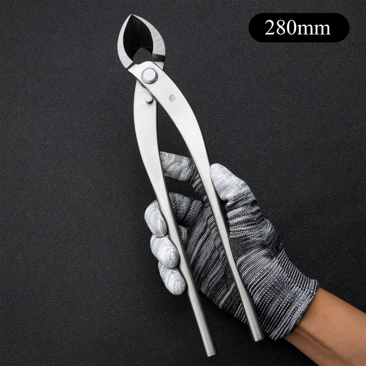 TianBonsai Standard Series Bonsai Tools Branch Cutter