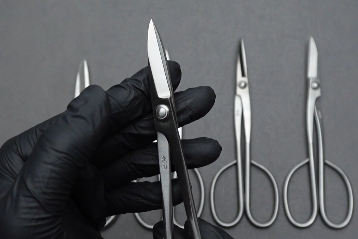 Load video: Professional Series Scissors