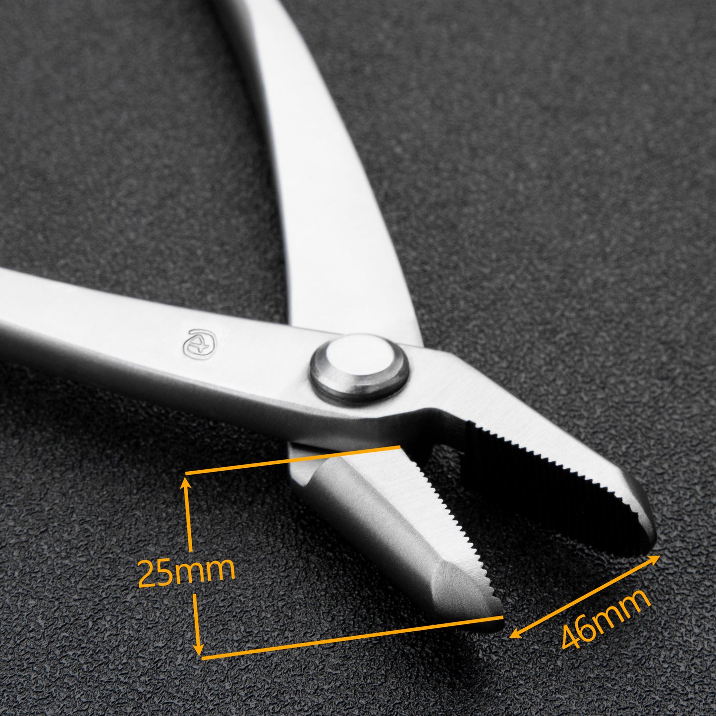 Standard Series 205 mm Bonsai Pliers 3Cr13 Alloy Steel Jin Pliers Bonsai Tools